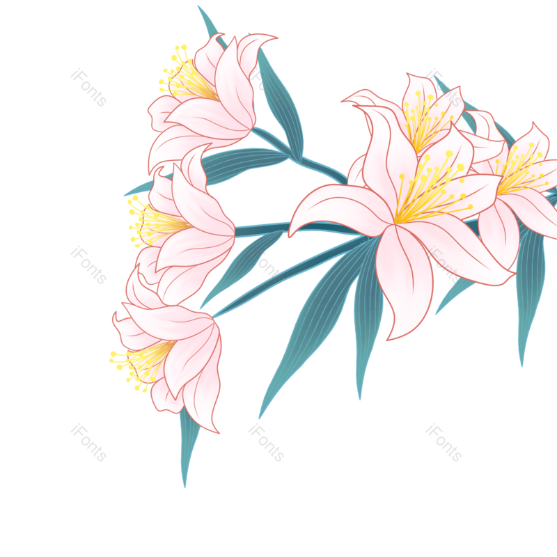 花卉图片,春天元素,植物PNG,免抠素材